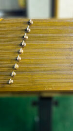 سنتور سالاری سل کوک تک مهر