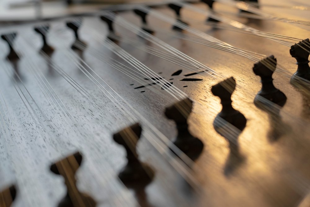 سنتور یا قانون؟ تفاوتهای اصلی که قبل از خرید باید بدانید