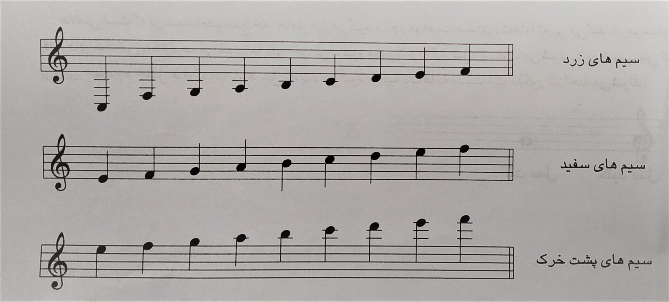 مهارت های مورد نیاز برای شروع نوازندگی سنتور