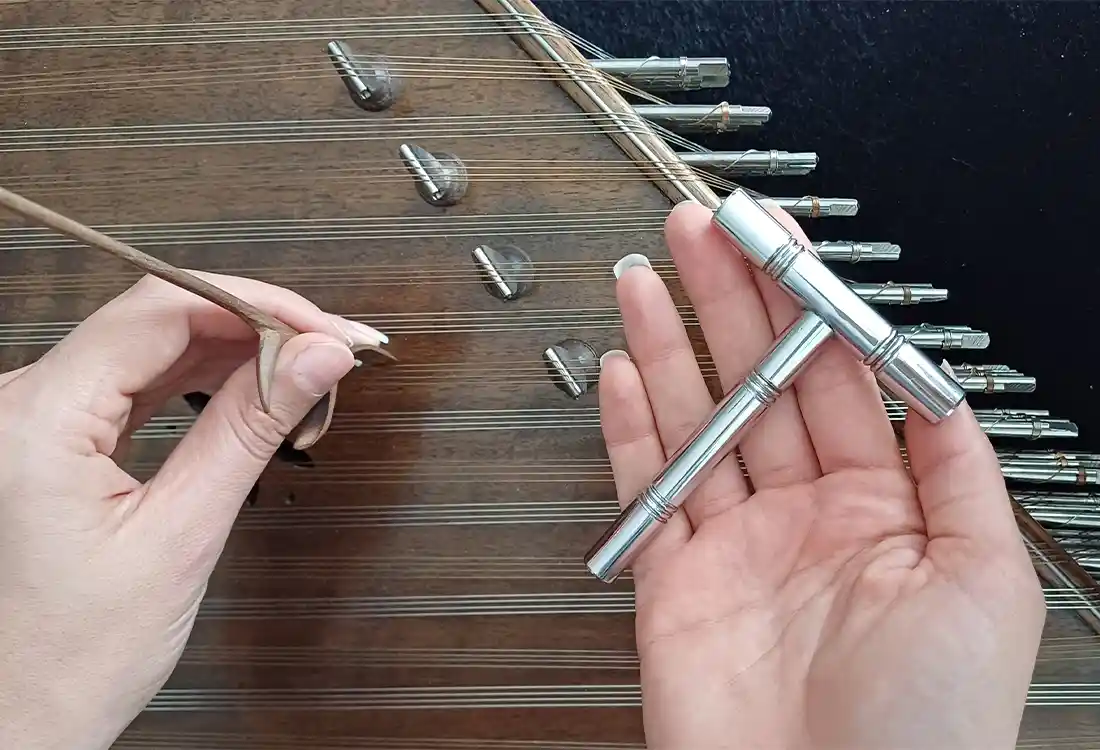 راهنمای جامع نگهداری و مراقبت از سنتور